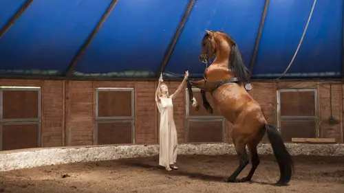 Je sais tomber en streaming