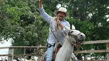 Les cow-boys des marécages