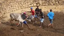 Visuel de Je serai un homme