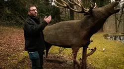 Je suis Belge (une fois) !