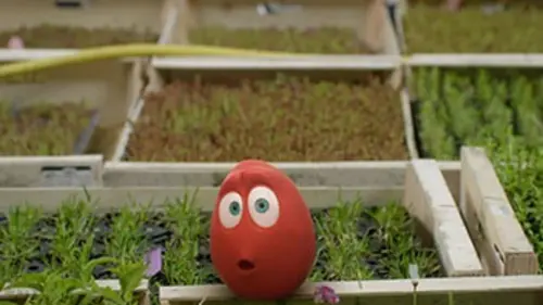 Je voudrais devenir... Architecte «vert»