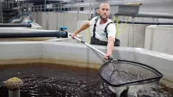 Je voudrais devenir...  Pisciculteur écologique