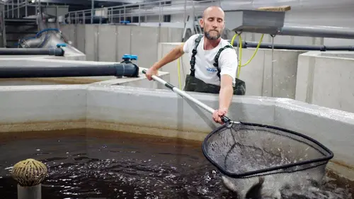 Je voudrais devenir... Pisciculteur écologique