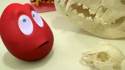 Je voudrais devenir... E14 Concepteur d'éclairage