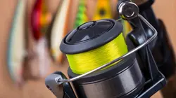 Jeremy Wade : en eaux troubles S01E02 Le roi perdu des fleuves d'Alaska