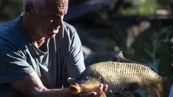Jeremy Wade : en eaux troubles S01E02 Le roi perdu des fleuves d'Alaska