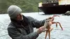 Jeremy Wade : en eaux troubles S01E02 Le roi perdu des fleuves d'Alaska