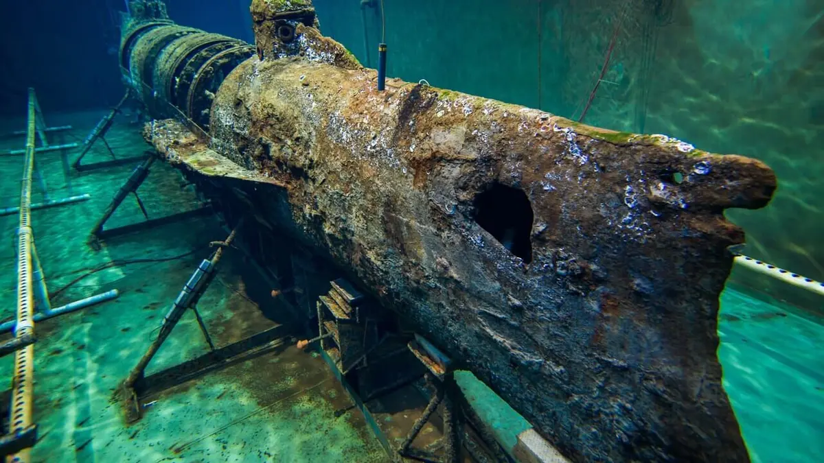 Jeremy Wade : mystères des profondeurs La conspiration du triangle des Bermudes