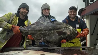 Jeremy Wade : mystères des profondeurs Le monstre du Loch Ness