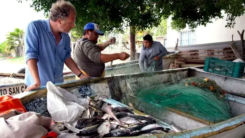 Jérôme, les yeux dans le bleu Mexique