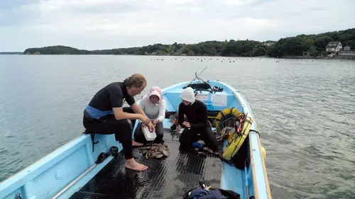 Jérôme, les yeux dans le bleu Au Japon
