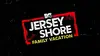 Jersey Shore : Vacances en famille