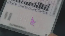 Jeudi reportage  Permis : prêt à tout pour conduire