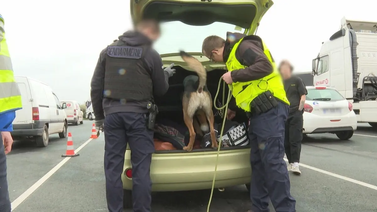 Jeudi reportage 100 jours avec les gendarmes de Normandie (n°1)