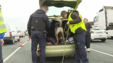 100 jours avec les gendarmes de Normandie (n°1)
