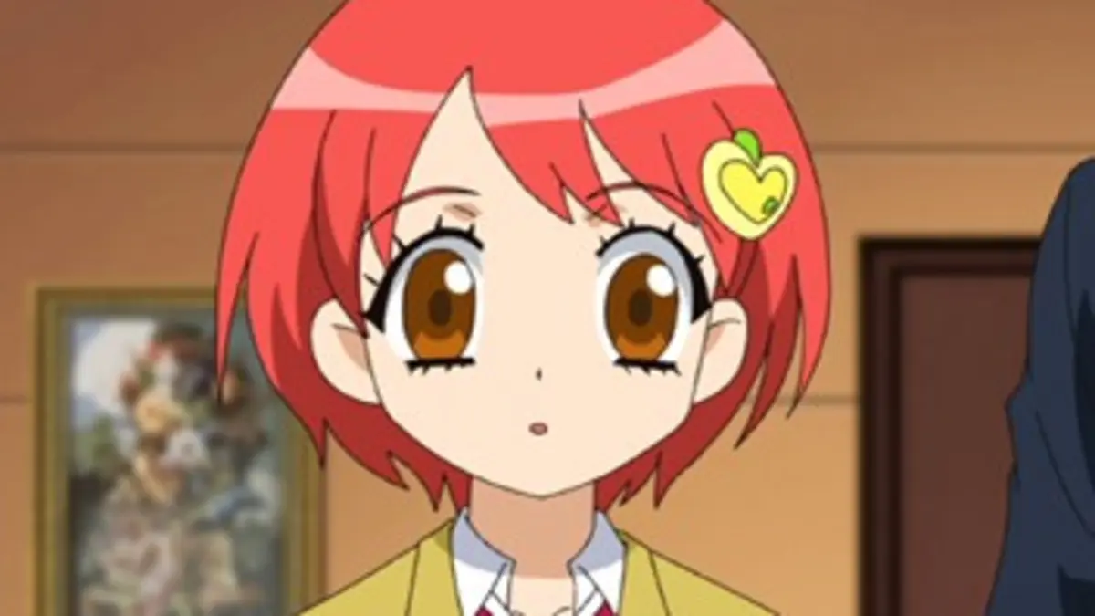 Jewelpet, le royaume des bijoux S01E27 Drôle de rentrée pour les Jewelpet