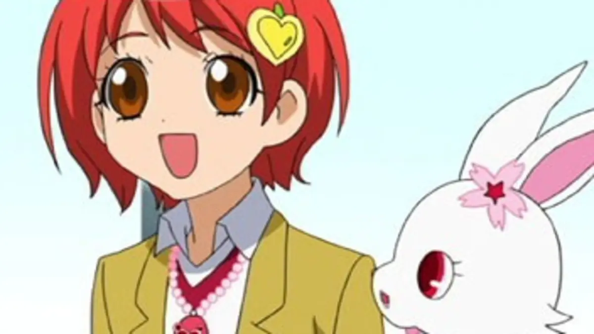 Jewelpet, le royaume des bijoux S01E43 L'épreuve des mages