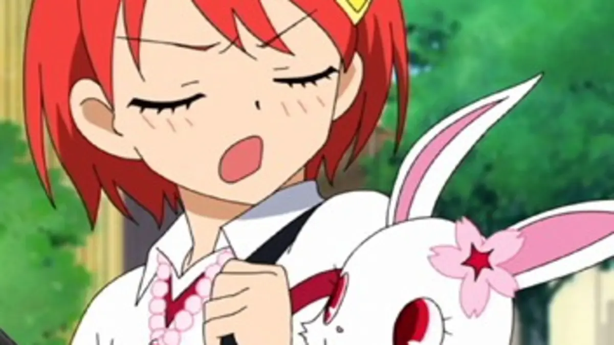 Jewelpet, le royaume des bijoux S01E13 Tatewaki cherche l'âme soeur