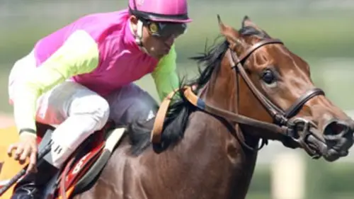 Jockeys S01E01 At The Starting Gate