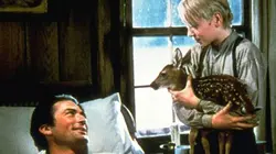 Visuel de Jody et le faon