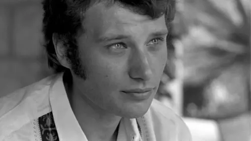 Audiences TV : Johnny made in France