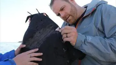 Josh Gates et les trésors perdus