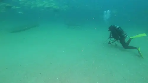 Josh Gates à la recherche du mégalodon