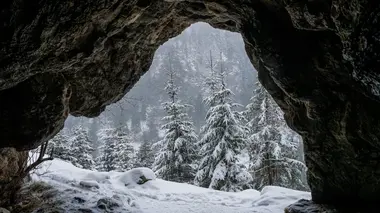 Extraterrestres congelés