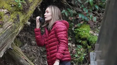 Terreur dans les Appalaches