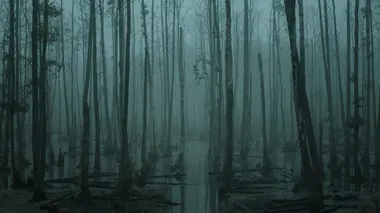 Josh Gates aux frontières du réel La bête de Boggy Creek