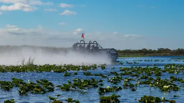 Josh Gates aux frontières du réel La bête des Everglades