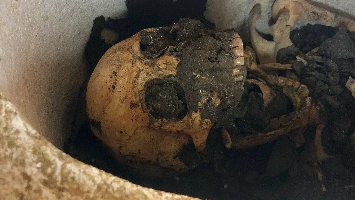 Josh Gates et le mystère de la momie