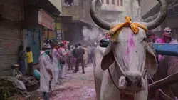 Josh Gates et les lieux de légende