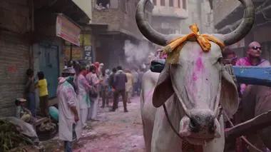 Josh Gates et les lieux de légende Anges ou démons ?