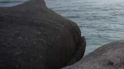 Josh Gates et les trésors perdus La fortune de La Buse