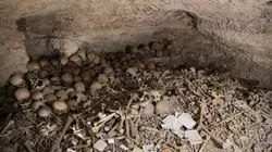 Visuel de Josh Gates et les trésors perdus