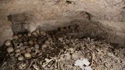 Josh Gates et les trésors perdus