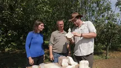 Josh Gates et les trésors perdus Le cœur du sultan