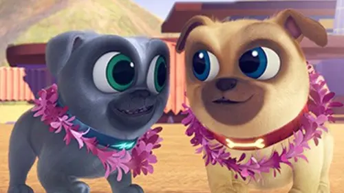 Joue avec Bingo et Rolly Eau Poil