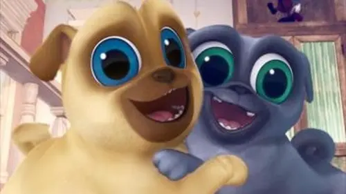 Joue avec Bingo et Rolly Duel