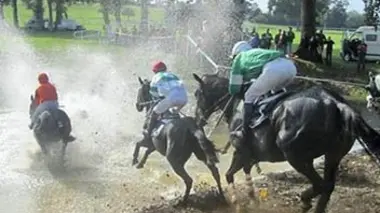 Jour de courses à Nuillé