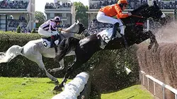 Visuel de Jour de Grand Steeple 2016