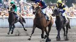 Sur Equidia à 20h50 : Jour de Prix du président de la République