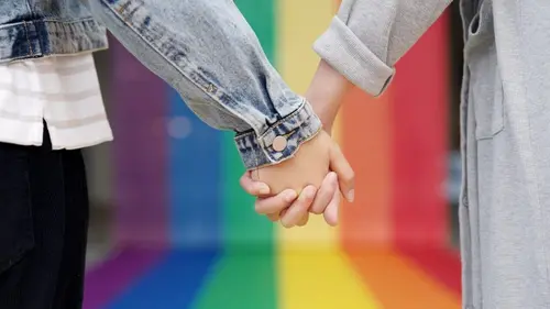 Journal d'une vierge lesbienne
