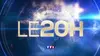 Journal de TF1 (2024)