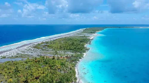 Journée sous la mer