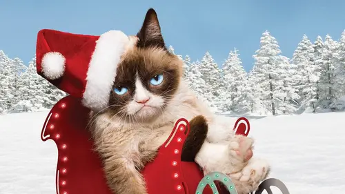 Joyeux Noël Grumpy Cat ! replay