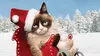 George dans Joyeux Noël Grumpy Cat ! (2014)