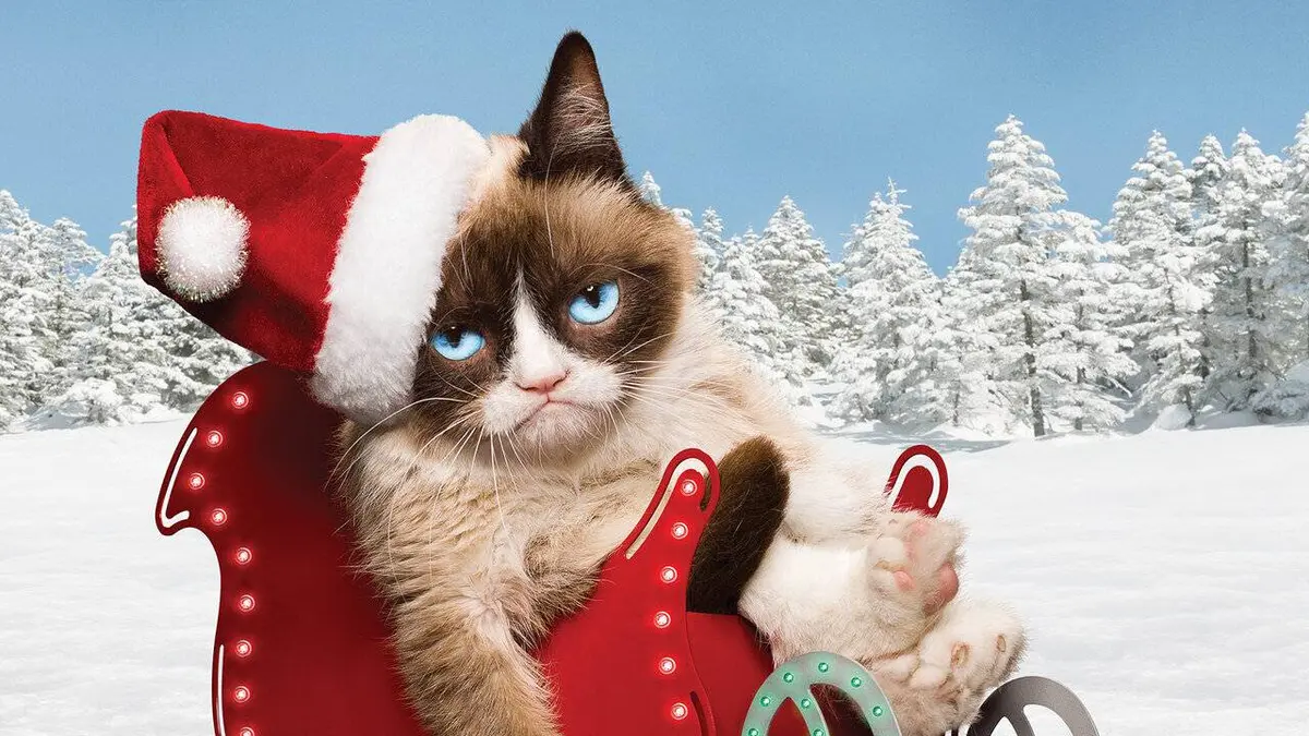 Joyeux Noël - Le film Grumpy Cat !
