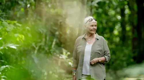 Judi Dench : mission sauvage à Borneo Episode 1